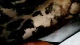 Tóc vàng trên đi văn ...