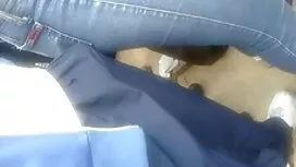 Nhân viên an ninh có ...