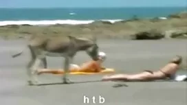 Bị trừng phạt với là ...