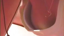 Nghỉ ngơi trong rừng ...