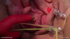 Một con mèo có một x ...