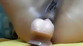 Chó cho phim sex bú  ...