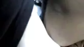Bốn khỏa thân gà bí  ...