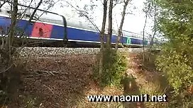 Bạn thân nhất của tô ...